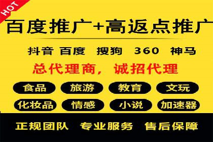某行业领军企业的SEM广告投放策略